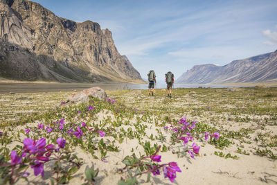 Rear view of two backpackers traversing akshayak pass