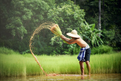 Farmer working in farm