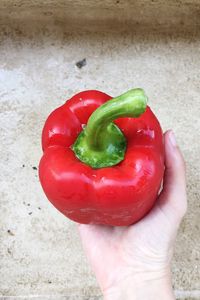 Close-up of hand holding red bell peppers