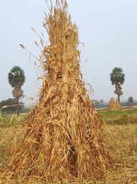 Hay bales on field against clear sky