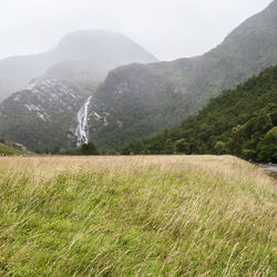 Scenic view of field against mountains