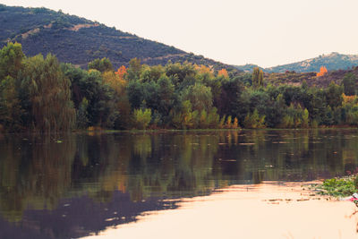 Scenic view of lake by trees against sky