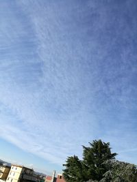 Low angle view of trees against sky