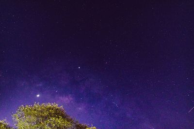 Low angle view of stars against sky at night