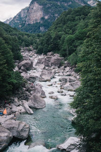 Scenic view of river flowing through rocks in forest