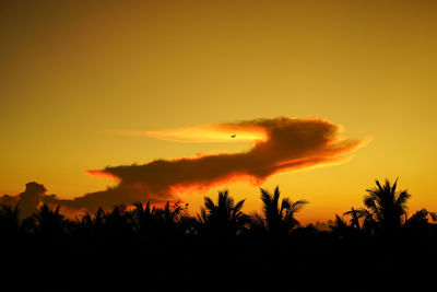 Silhouette trees against dramatic sky during sunset