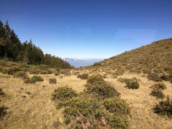 Scenic view of landscape against blue sky