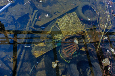 High angle view of fish in sea