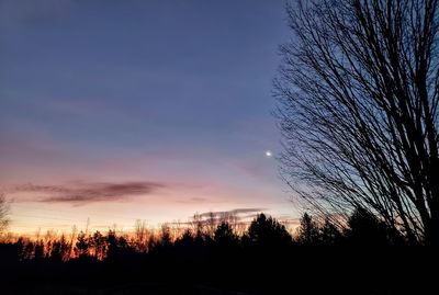 Low angle view of silhouette trees against sky at sunset