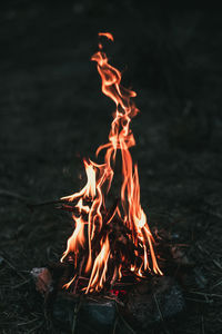 Bonfire on log at night