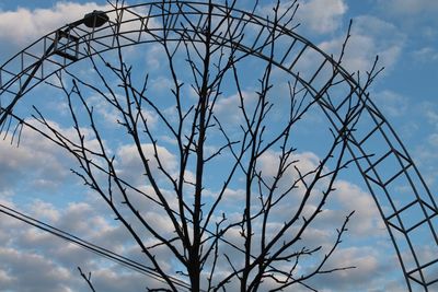 Low angle view of bare tree against sky