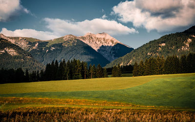 Scenic view of agricultural field against sky