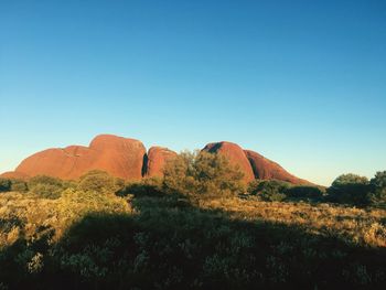 Scenic view of landscape against clear blue sky