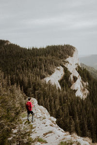 Rear view of person walking on mountain