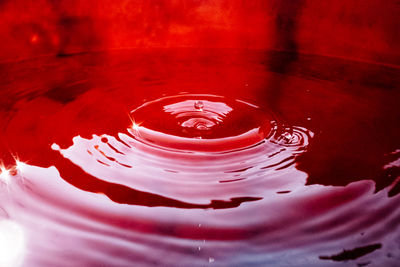 Close-up of water drops on pink background