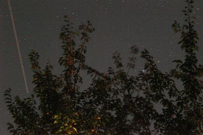 High angle view of plants against sky at night