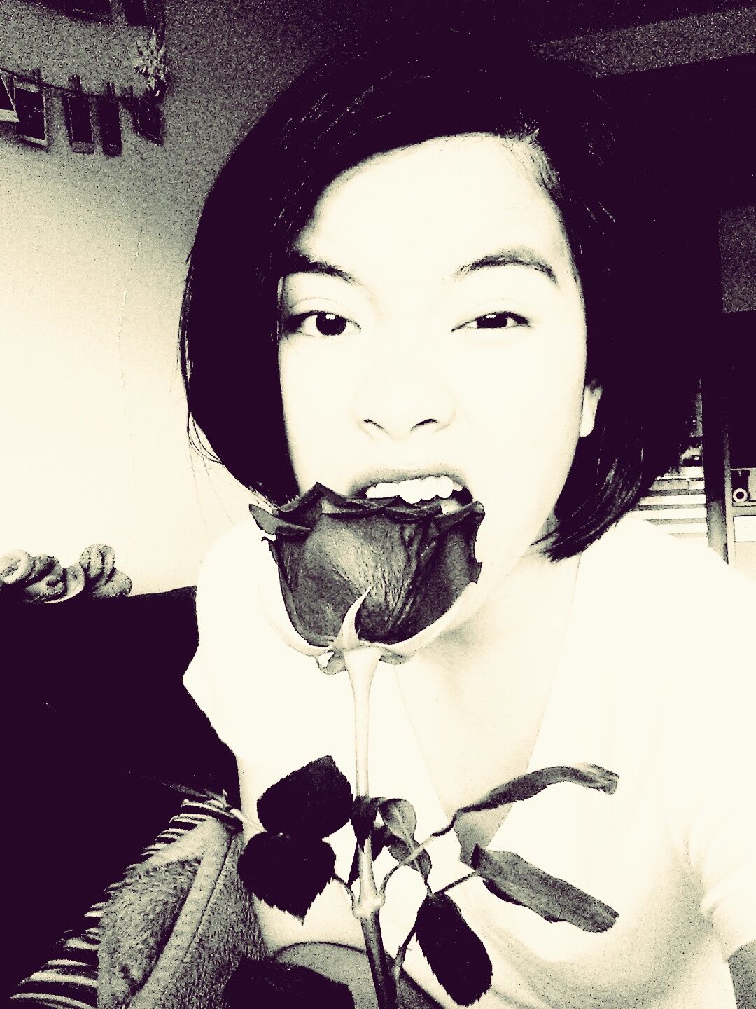 Yummy rose