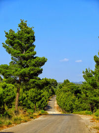 Road amidst trees against clear blue sky