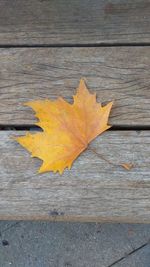 High angle view of maple leaves on wood