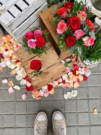 Low section of multi colored roses