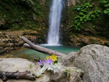 Scenic view of waterfall