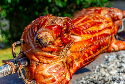 Close-up of crab on barbecue