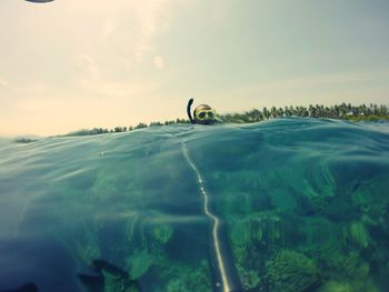 Man snorkeling in sea