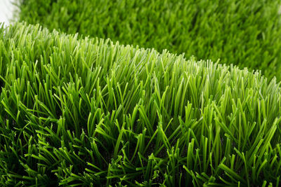 Full frame shot of grass on field