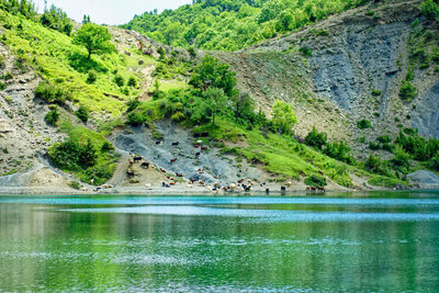 Scenic view of lake against trees