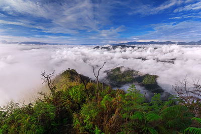 Scenic view of landscape against sky