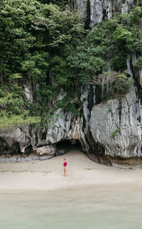 Scenic view of beach