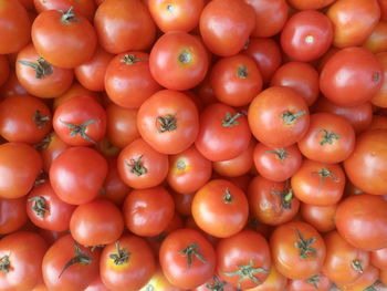 Full frame shot of tomatoes