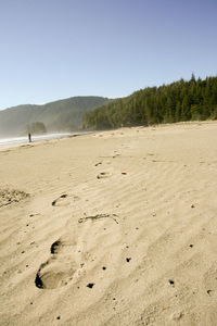 Scenic view of beach against clear sky