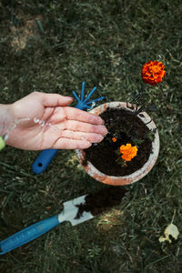 Cropped hand pouring water on potted plant in yard