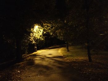 Empty road at night