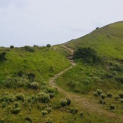 Scenic view of green landscape against sky