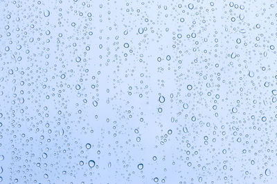 Flock of birds against blue sky