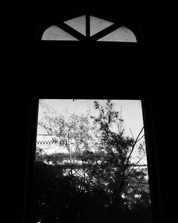 Low angle view of silhouette trees against sky seen through window