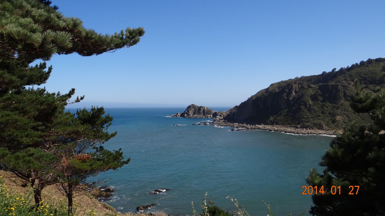 sea, water, clear sky, scenics, horizon over water, tranquil scene, tranquility, beauty in nature, tree, blue, copy space, nature, mountain, coastline, beach, idyllic, shore, cliff, high angle view, day