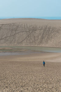 Rear view of man on sand at beach against clear sky