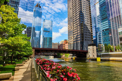 Buildings in city