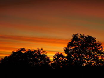 Silhouette trees against dramatic sky during sunset