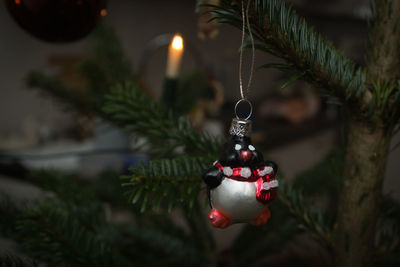 Close-up of christmas decoration hanging on tree