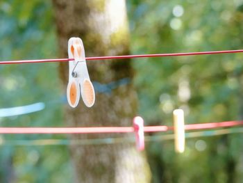 Close-up of clothespins hanging on clothesline