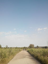 Road passing through field