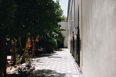 Narrow alley amidst buildings in city