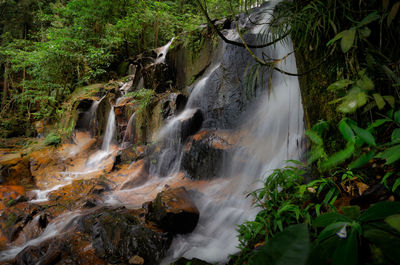 Scenic view of waterfall in forest