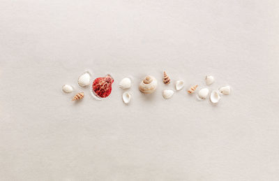 Travel, vacation trip, or sandy beach concept with sea shells on sand background. high quality photo