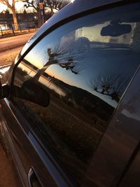 Reflection of trees on car window