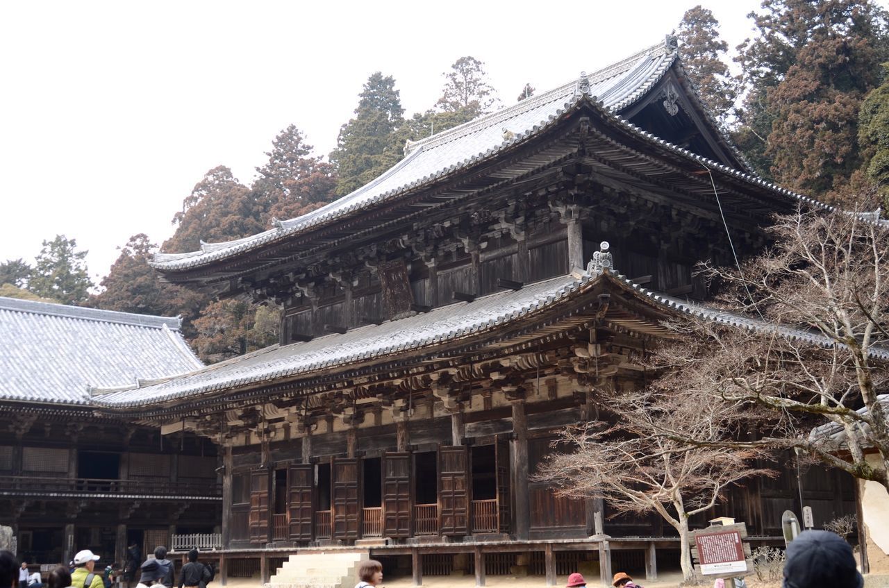 LOW ANGLE VIEW OF TEMPLE